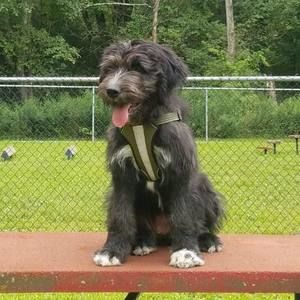 Meet your Posher, Jamie